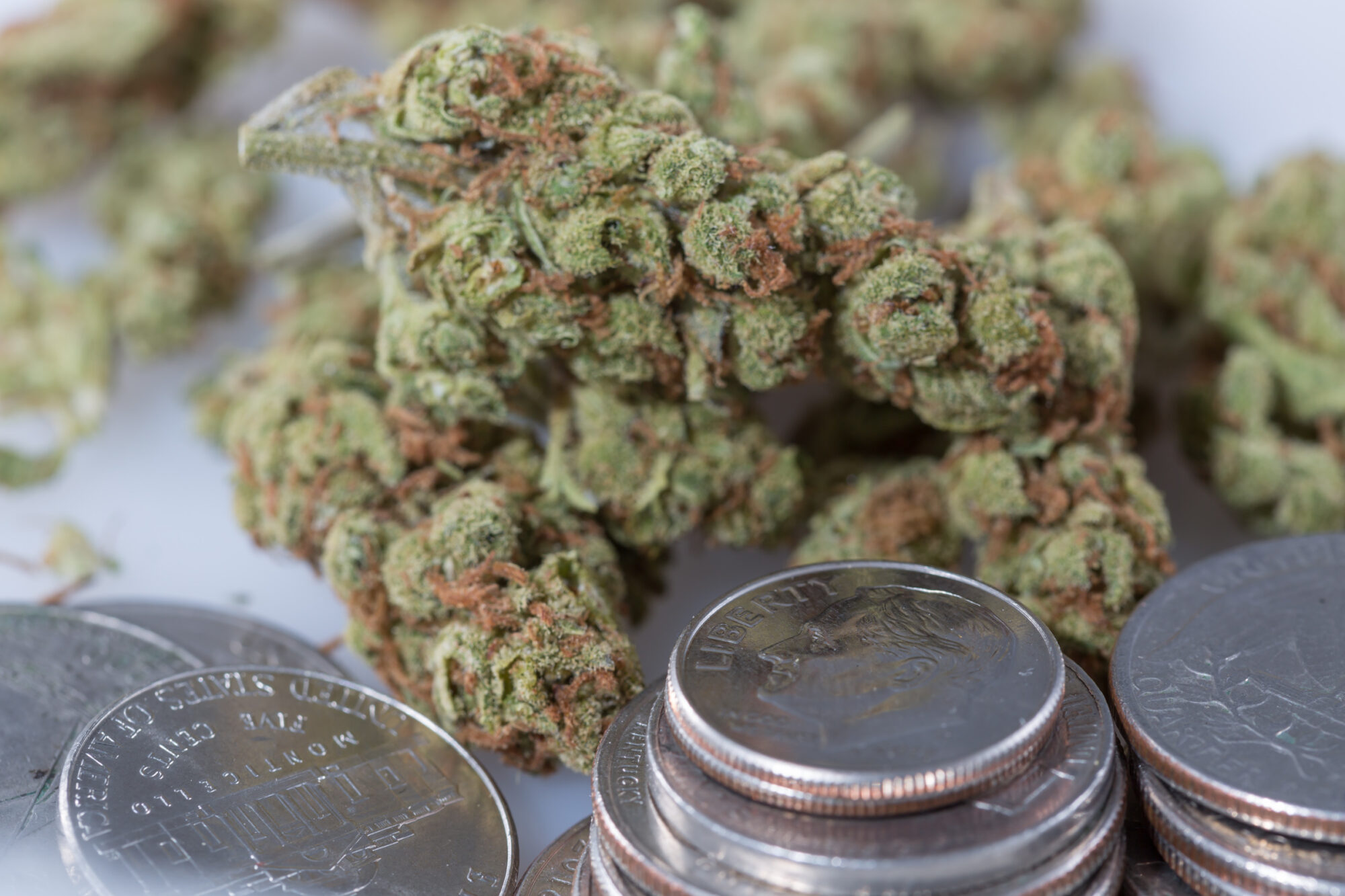 Read more about the article A Record Number Of Banks Are Working With Marijuana Businesses As Rescheduling Looms, New Federal Data Shows