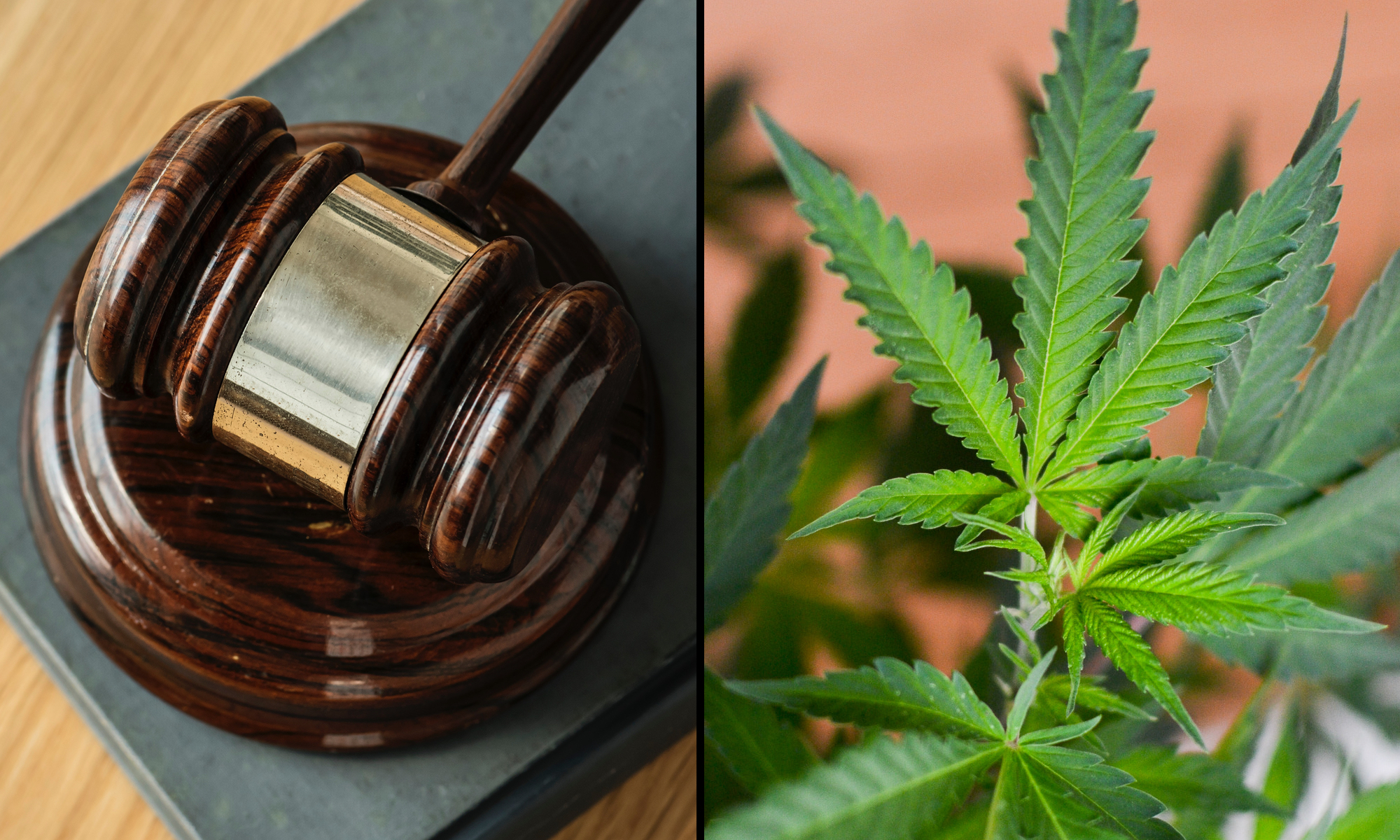 Read more about the article Michigan high court says smell of marijuana alone can no longer justify police search