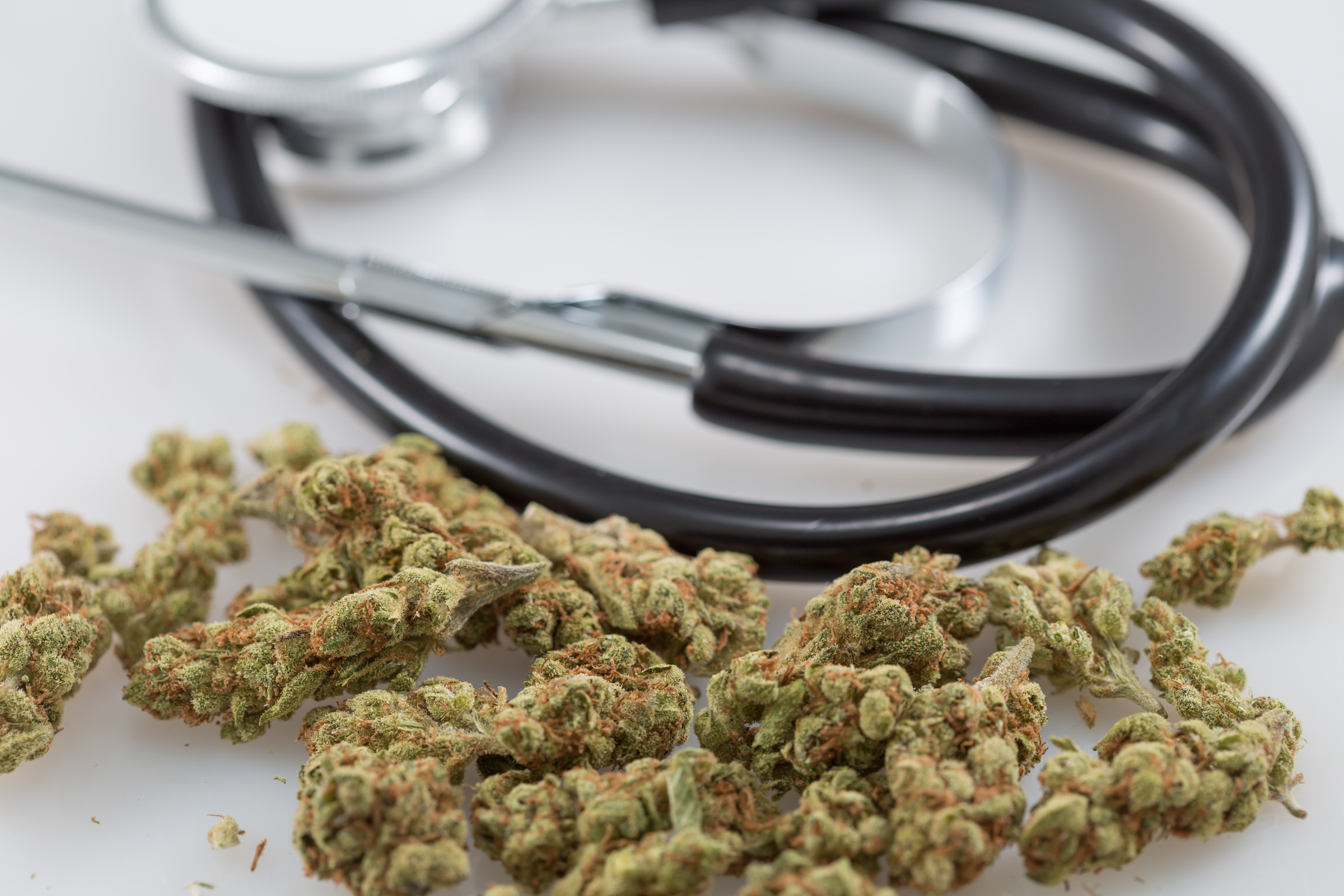Read more about the article What Health Conditions Do Patients Use Medical Marijuana To Treat? New Study Sheds Light