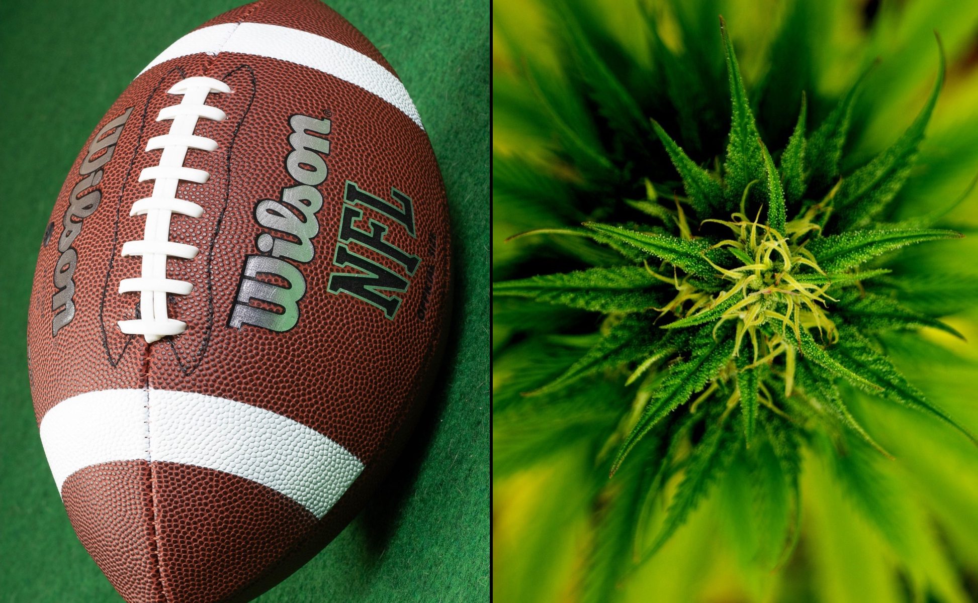 Read more about the article NFL Adopts New Marijuana Policy For Players, Reducing Fines And Increasing THC Limit For Drug Tests