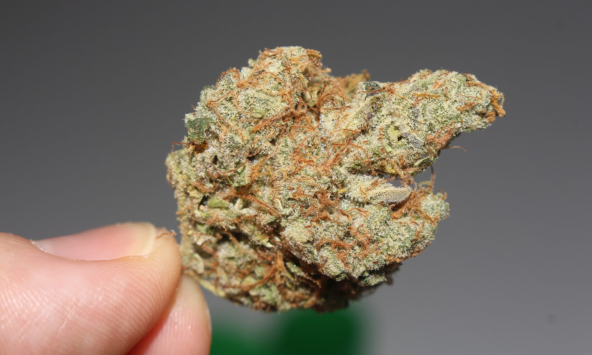 Read more about the article Michigan’s Legal Marijuana Market Is Poised To Surpass $10 Billion In Total Recreational Sales By Year’s End