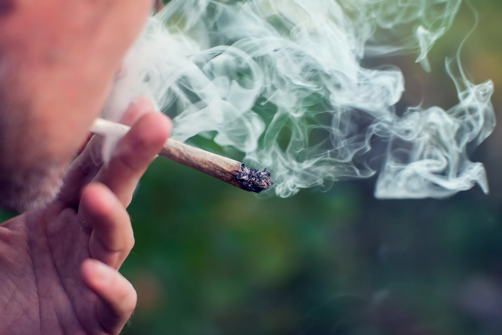 Read more about the article FDA OKs marijuana study to include Michigan veterans with PTSD
