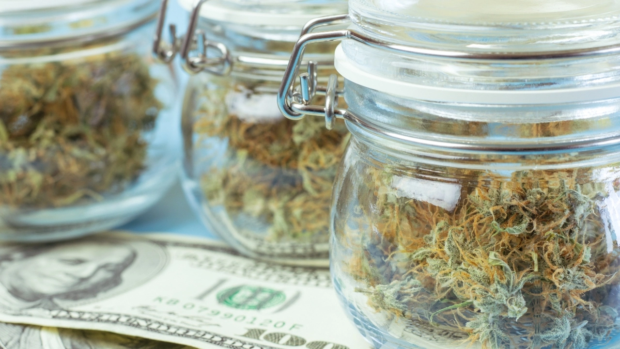 Read more about the article Michigan Legal Cannabis Sales Top $2.1 Billion So Far in 2025, With All-Time Sales Now Above $12.3 Billion