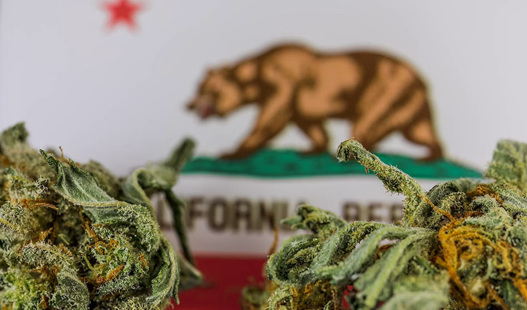 Read more about the article California Passes Bill to Ban Intoxicating Hemp Products Outside Cannabis Market