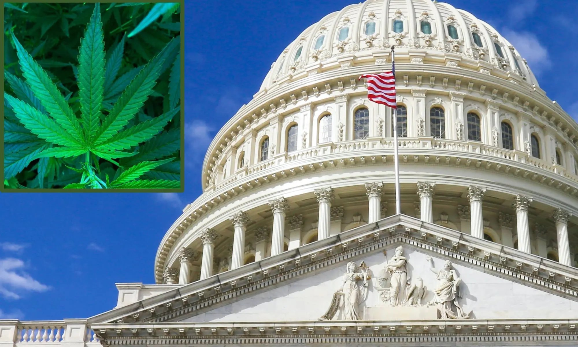 Read more about the article House Votes To Expand Marijuana Waivers For Military Recruits Who Test Positive For THC