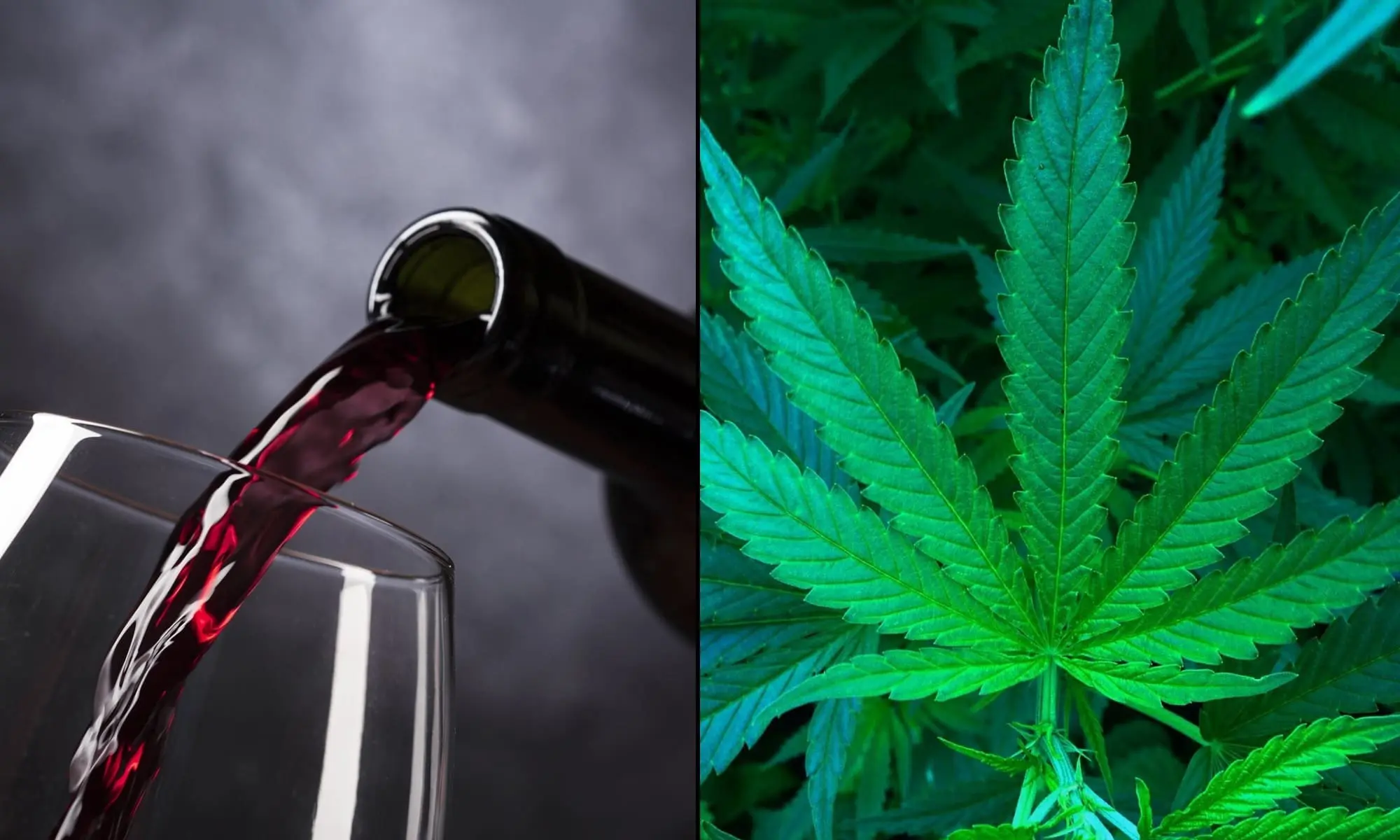 Read more about the article Access To Legal Marijuana Shops Is Linked To Reduced Heavy Alcohol Drinking, Federally Funded Study Finds