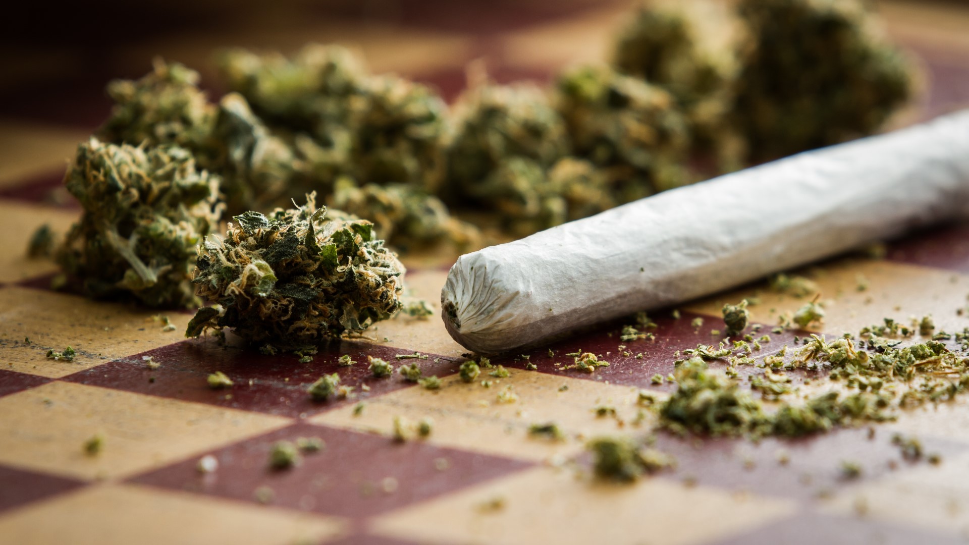 Read more about the article Michigan monthly marijuana sales continue to rise in April, fueled in part by 4/20 pot holiday